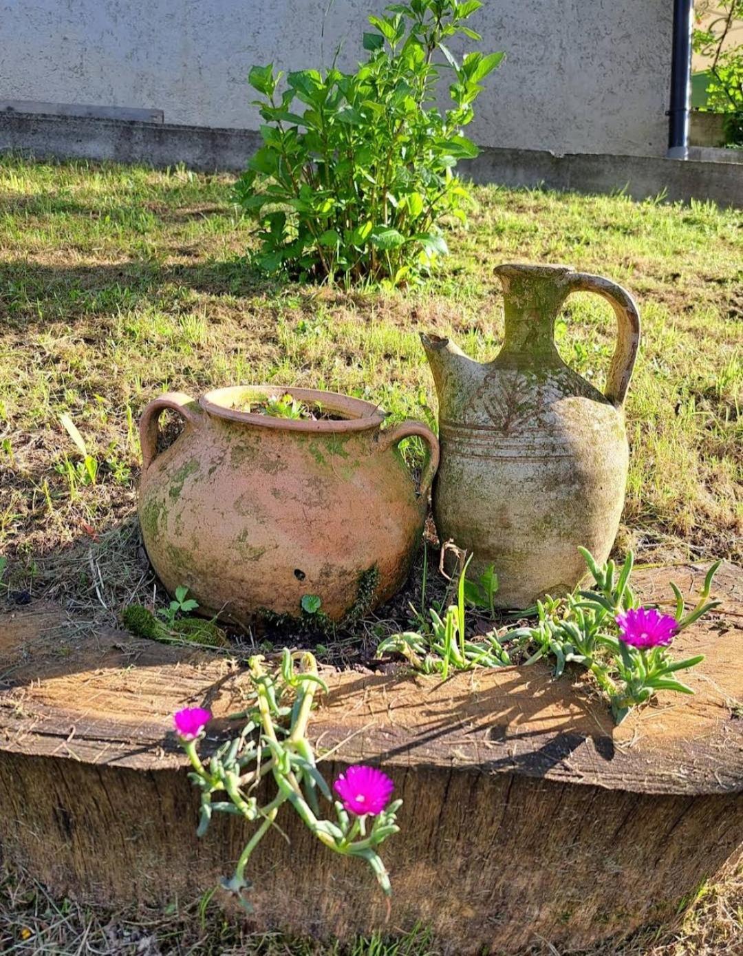 Mala farma Nani Small farm Nani Villa Visoko Esterno foto