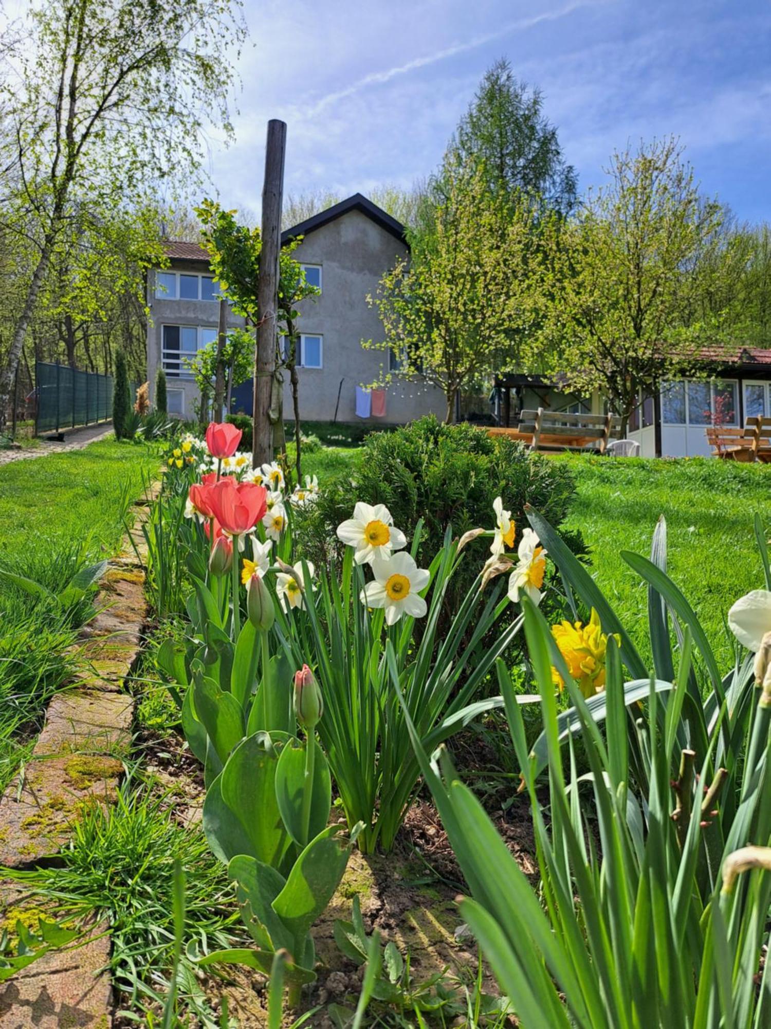 Mala farma Nani Small farm Nani Villa Visoko Esterno foto