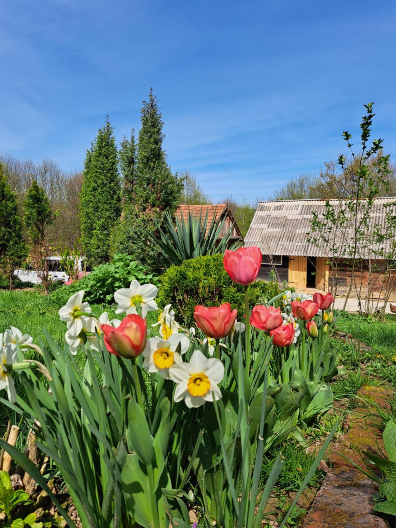 Mala farma Nani Small farm Nani Villa Visoko Esterno foto